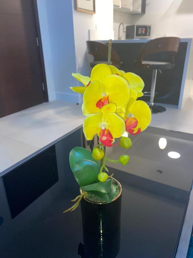 Parkhurst 1 Apartment Kingston Luaran gambar